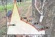 9 tháng doanh nghiệp cao su, săm lốp ngược chiều tăng trưởng